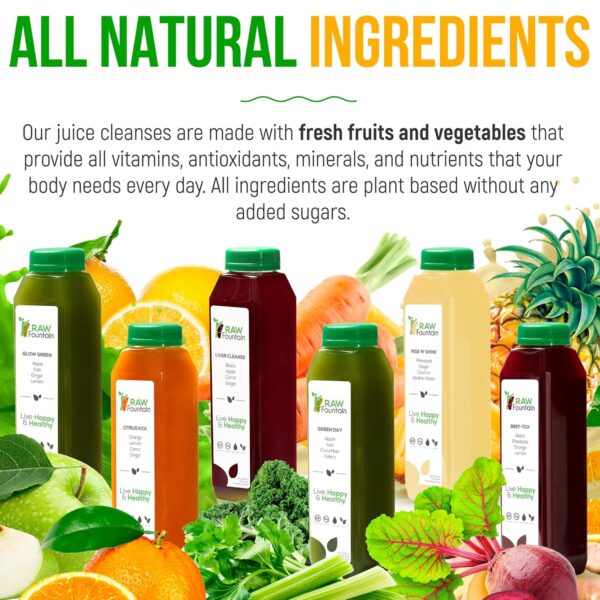 3 Day Juice Cleanse by Raw Fountain, All Natural Raw Juice Detox Cleanse, Juicing for Weight Management, Cold Pressed Juice Fast, Great Way to Jumpstart a Healthy Diet, 18 Bottles 12oz, 3 Ginger Shots