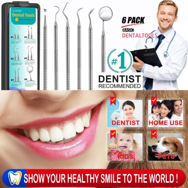 Dental Tools, Dental Pick for Teeth Cleaning, Stainless Steel Hygiene Kit with Tooth Scraper Plaque Tartar Remover - with Case