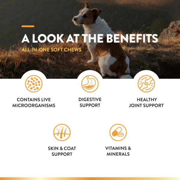 NaturVet All-in-One Dog Supplement - for Joint Support, Digestion, Skin, Coat Care – Dog Multivitamins with Minerals, Omega-3, 6, 9 – Wheat-Free Vitamins for Dogs – 240 Soft Chews