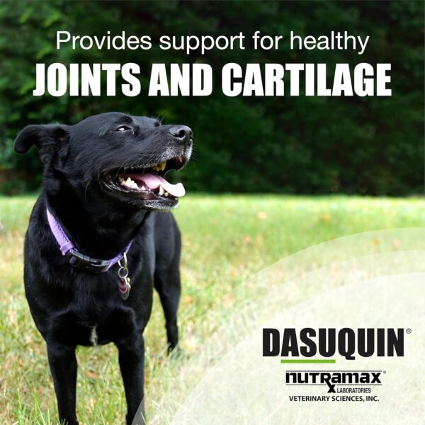 Nutramax Laboratories Dasuquin Joint Health Supplement for Large Dogs - With Glucosamine, Chondroitin, ASU, Boswellia Serrata Extract, and Green Tea Extract, 84 Soft Chews