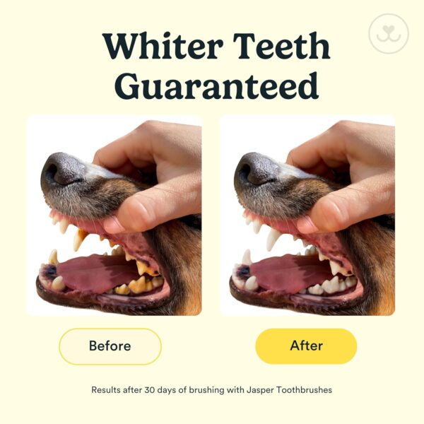Jasper Dog Toothbrush, 360º Dog Tooth Brushing Kit, Cat Toothbrush, Dog Teeth Cleaning, Dog Finger Toothbrush, Dog Tooth Brush for Small & Large Pets, Dog Toothpaste Not Included, 2-Pack Blue