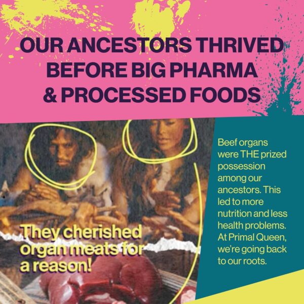 Female-Optimized Beef Organ Superfood Supplement (Beef Liver, Kidney, Heart, & 3 More) - 100% Grass Fed, Pasture Raised Cattle - Balance Hormones, Energy, & More for Women