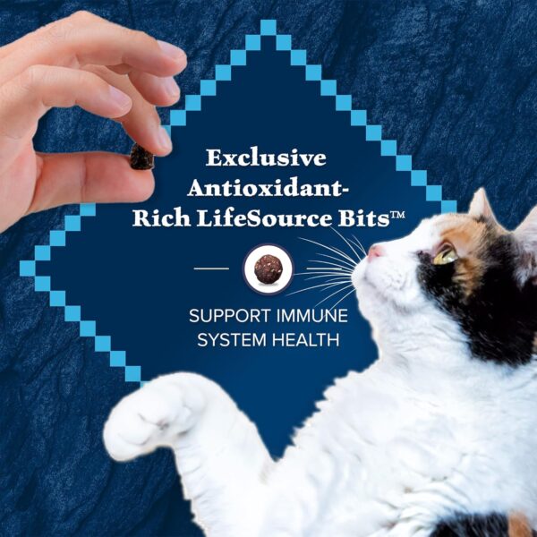 Blue Buffalo Wilderness Natural Mature Dry Cat Food for Cats 7+ Years, High-Protein and Grain-Free Diet, Supports Immune System Health and Energy to Stay Active, Chicken, 5-lb. Bag
