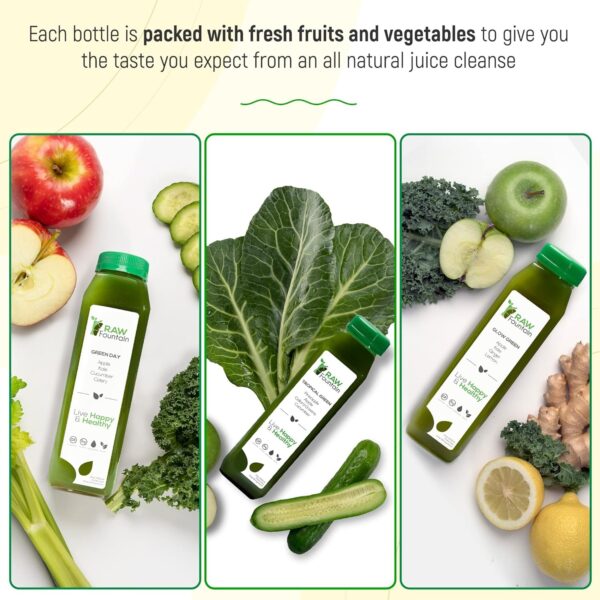 5 Day Green Juice Cleanse by Raw Fountain, All Natural Raw, Vegan Detox, Cold Pressed Juice, 30 Bottles 12oz, 3 Ginger Shots