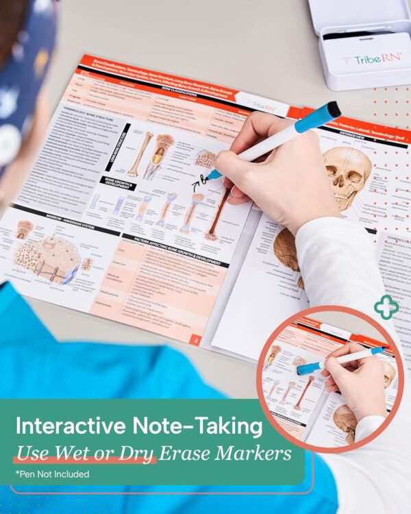 TribeRN Anatomy & Physiology Study Guides - Set of 10 Human Anatomy Guides for Nursing Students, School, College, Medical Professions - 12 Topics on Body Systems w/ Reference Charts & Terminology