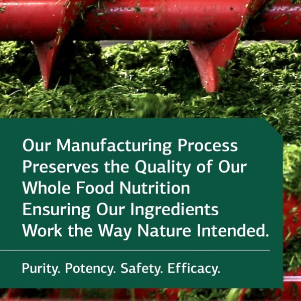 Standard Process Trace Minerals-B12 - Whole Food Spleen, Bone Health, Immune Support, Metabolism and Thyroid Support with Manganese, Kelp, Iodine, Copper, Vitamin B12, Zinc, and Iron - 90 Tablets