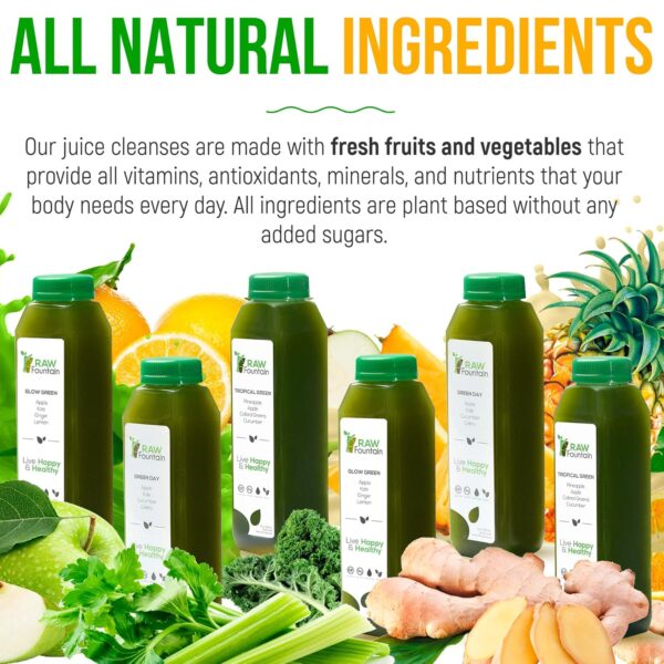 5 Day Green Juice Cleanse by Raw Fountain, All Natural Raw, Vegan Detox, Cold Pressed Juice, 30 Bottles 12oz, 3 Ginger Shots
