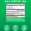 Zenwise Health EGCG Green Tea Extract Capsules - Mental Focus + Immune Health + Antioxidant + Heart Support with Green Coffee Bean for Energy & Metabolism Boost - 120 CT