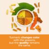 Turmeric Supplement - High Potency Turmeric Curcumin Supplement with 1200 mg Organic Tumeric and 95% Curcuminoids. Curcumin Supplements with Black Pepper for Immune & Joint Health. 60 Curcuma Capsules
