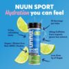 81DBQMu34AL._AC_SL1500_.jpg Nuun Sport + Caffeine Electrolyte Tablets - Dissolvable in Water, Fresh Lime Flavor, 5 Essential Electrolytes for Hydration, 1g Sugar Drink Mix, Vegan, Non-GMO, 8 Pack (80 Total Servings)