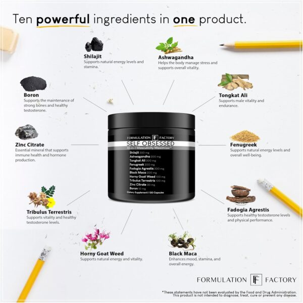 Self Obsessed 10 in 1 Masculinity Maximizer Supplement, Shilajit for Men, Tongkat Ali, Ashwaganda, Fenugreek & More, Muscle Growth, Energy Management, Drive, Strength, Recovery (2 Months)