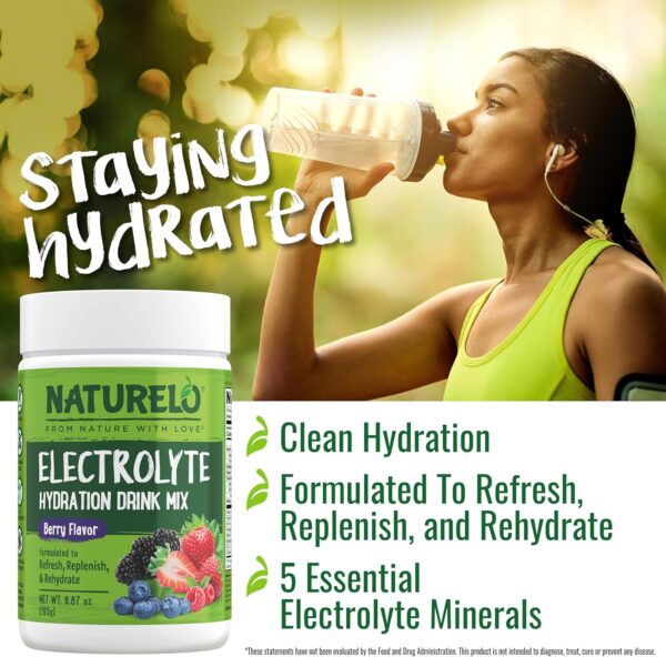 NATURELO Electrolyte Powder, Hydration and Mineral Drink Mix, Sugar Free & Non-GMO Berry Flavor 50 Servings