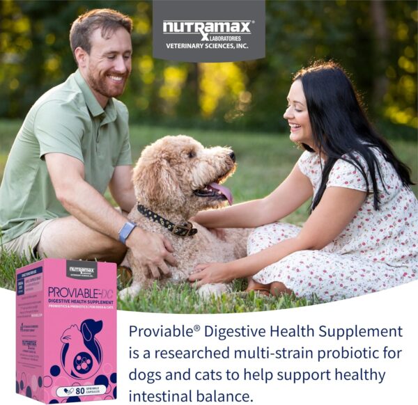 Nutramax Proviable Digestive Health Supplement Multi-Strain Probiotics and Prebiotics for Cats and Dogs - with 7 Strains of Bacteria, 80 Capsules, blue