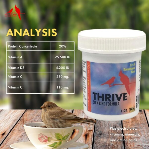 Morning Bird Thrive, Nutritious Energy Supplement with Minerals, Vitamins, Amino Acids, Electrolytes, and Protein, 1 oz