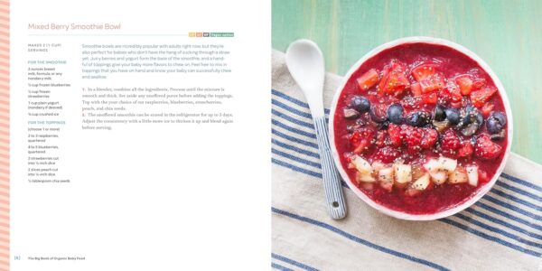 The Big Book of Organic Baby Food: Baby Purées, Finger Foods, and Toddler Meals For Every Stage (Organic Foods for Baby and Toddler)