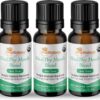 OraWellness Nut Free Healthy Mouth Blend Organic Toothpaste & Mouthwash Alternative Tooth Oil, Natural Mouth Rinse for Healthy Teeth & Gums for Women, Men and Kids, Pack of 3