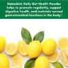 DetoxOne Daily Gut Health Powder for Weight Loss​ | ​Daily Detox Cleanse Supports Normal/Health Digestive Function*| Promotes Detoxification*, Boost Energy​ & Improves Nutrient Absorption