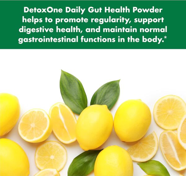 DetoxOne Daily Gut Health Powder for Weight Loss​ | ​Daily Detox Cleanse Supports Normal/Health Digestive Function*| Promotes Detoxification*, Boost Energy​ & Improves Nutrient Absorption