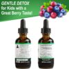 Zeolite Detox for Kids Liquid Drops - Advanced Clinoptilolite with Pure Vitamins B12 & D - Kids Gentle Body Daily Cleanse Focus & Speech Extra Clinoptilolite Zeolite Drops Detox Cleanse Supplement 2oz