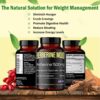 Berberine Supplement 1500mg with Magnesium Glycinate 240mg & Ceylon Cinnamon 100mg - Natural Weight Management, Gut Health, High Potency & Absorption, Made in USA - 60 Tablets