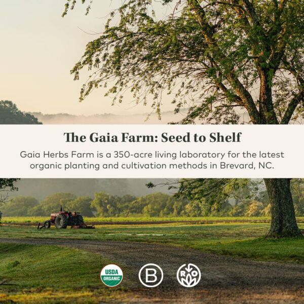 Gaia Herbs Adrenal Health Daily Support - with Ashwagandha, Holy Basil & Schisandra - Herbal Supplement to Help Maintain Healthy Energy and Stress Levels - 60 Liquid Phyto-Capsules (60 Count)