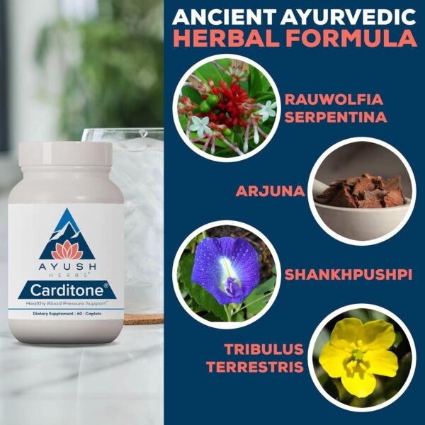 Ayush Herbs Carditone - Natural Heart Health Supplement for Women & Men, BP Formula, Holistic Heart Support with Rauwolfia, Arjuna, Calcium, and Magnesium - 60 Vegetarian Caplets (1 Count)