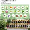 Tea Tree 20 Pcs Pure Essential Oil Gift Set, for Diffuser, Humidifiers, Skin Care, Massage, Fragrance Oil Scent for DIY Candle and Soap Making, Gift for Friend (5ML)