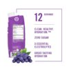 BioSteel Sports Drink, Sugar-Free Formula with Essential Electrolytes, Grape Flavor, 16.7 Fluid Ounces, 12-Pack