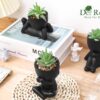 Der Rose 3pcs Fake Succulents Plants Artificial for Black Bathroom Bedroom Home Room Decor Aesthetic Indoor