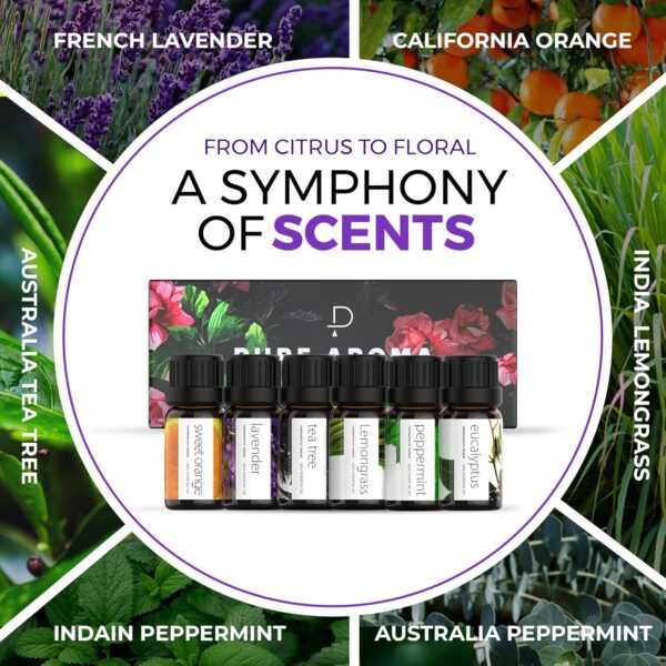 Essential Oils Set Pure Aroma - Top 6 Aromatherapy Oils Gift Set for Diffusers, Home Care, Candel Making Scents, Fragrance -Eucalyptus, Lavender, Lemongrass, Sweet Orange, Peppermint, Tea Tree (10ml)
