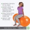 Active Seat Peanut Shaped Bounce Desk Chair -Exercise Yoga Balance Sitting Ball - Sensory Toys- Flexible Seating, Wiggle Seat for Boys and Girls