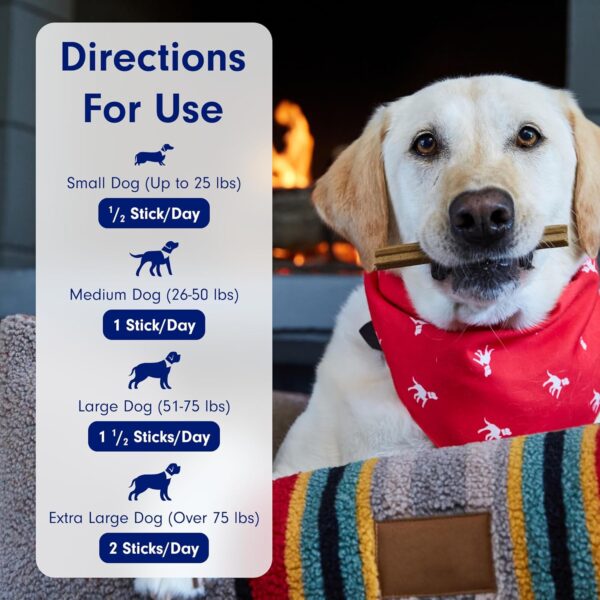 PetLab Co. Dental Sticks – Dog Dental Chews -Target Plaque & Tartar Build-Up at The Source - Designed to Maintain Your Dog’s Oral Health, Keep Breath Fresh and Provide Digestive Help (6 Sticks)