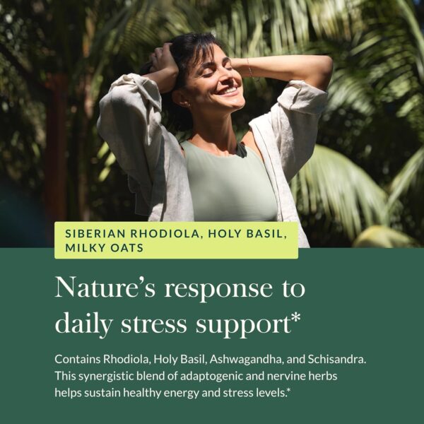 Gaia Herbs Adrenal Health Daily Support - with Ashwagandha, Holy Basil & Schisandra - Herbal Supplement to Help Maintain Healthy Energy and Stress Levels - 60 Liquid Phyto-Capsules (60 Count)