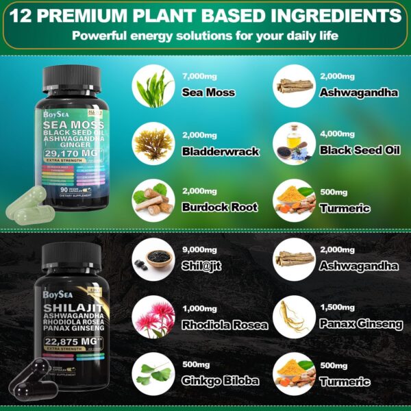 Boysea.Shilajit and Sea Moss Bundle- 90 Count - Sea Moss 7000mg, Black Seed Oil 4000mg, Ashwagandha 2000mg, Ginger & Shilajit 9000mg, Rhodiola Rosea 1000mg, All in 1 Supplements (1 Pack)
