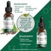 GuruNanda Gutcleanse 2-Step Kit - Dietary Supplement to Help with Digestion - Blend of Fulvic Acid, Wormwood, Clove & Neem Extract, 2x1 FlOz