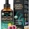 USDA Organic Lymphatic Drainage Supplement - Echinacea | Elderberry | Dandelion | Rosehip | Cleavers | Calendula | Burdock - Made in USA - Lymph System Drops - Immune Support, Cleanse & Detox, 2 fl oz