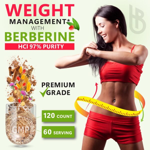 Berberine and Ceylon Cinnamon for Weight Management & Digestion, Heart Health & Immune - 7in1 with Premium Ginseng, Turmeric Curcumin, Ginger & Black Pepper - 120 Vegan Capsules