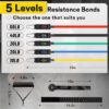 Resistance Bands, Resistance Band Set, Workout Bands, Exercise Bands for Men and Women, Exercise Bands with Door Anchor, Handles, Legs Ankle Straps for Muscle Training, Physical Therapy, Shape Body