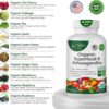 Organic Superfood Greens Fruits and Veggies Complex with Ashwagandha - 2 in 1 Supplement with 14 Greens Fruits & Vegetables with Ashwagandha Rich in Antioxidants - Non-GMO 90 Capsules