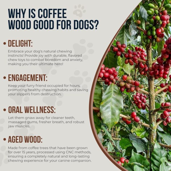 Real Coffee Wood Chew Toy for Dogs - 100% Natural Toys for Puppies Under 12lbs - Puppy chew Toys for Teething - Wood Toys for Training, Rewards - Relieve Stress - XXS - 2 Pack