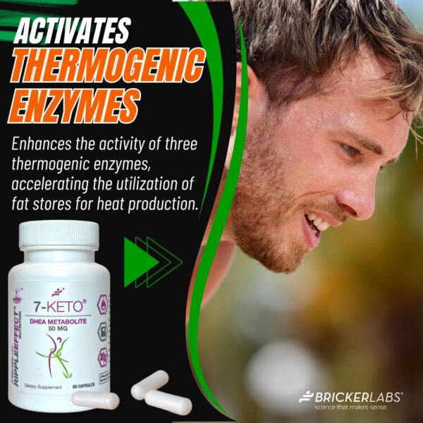 7-Keto DHEA Metabolite 50 mg Dietary Supplement for Weight Management, Safe and Effective Weight Management Support, 60 Capsules