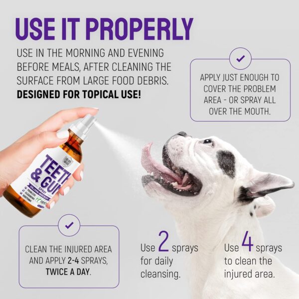 SILVER GRADE Teeth & Gum Spray for Pets – Dental Formula for Dog Mouth Rinse & Cat Mouth Care – Dog Fresh Breath, Clean Teeth, No Pain Or Burning – Plaque and Tartar Remover (4 Oz)
