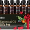 Essential Oils Set - Top 6 Blends for Diffusers, Home Care, Candle Making Scents, Fragrance, Aromatherapy, Humidifiers, Gifts - Peppermint, Tea Tree, Lavender, Eucalyptus, Lemongrass, Orange (10mL)