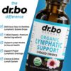 Lymphatic Drainage Supplements Drops - Organic Lymphatic Support Liquid Drops Cleanse with Echinacea for Lymph System Support Supplement, Lymph Node Detox Cleanse System Drainage - 1oz Vegan Non-GMO