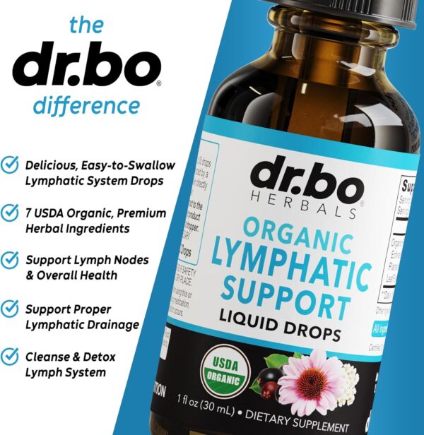 Lymphatic Drainage Supplements Drops - Organic Lymphatic Support Liquid Drops Cleanse with Echinacea for Lymph System Support Supplement, Lymph Node Detox Cleanse System Drainage - 1oz Vegan Non-GMO