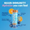 Nuun Hydration Immunity Electrolyte Tablets With 200mg Vitamin C, Blueberry Tangerine + Orange Citrus Flavors, 5 Essential Electrolytes for Hydration, Vegan, Non-GMO, 4 Pack (40 Servings)