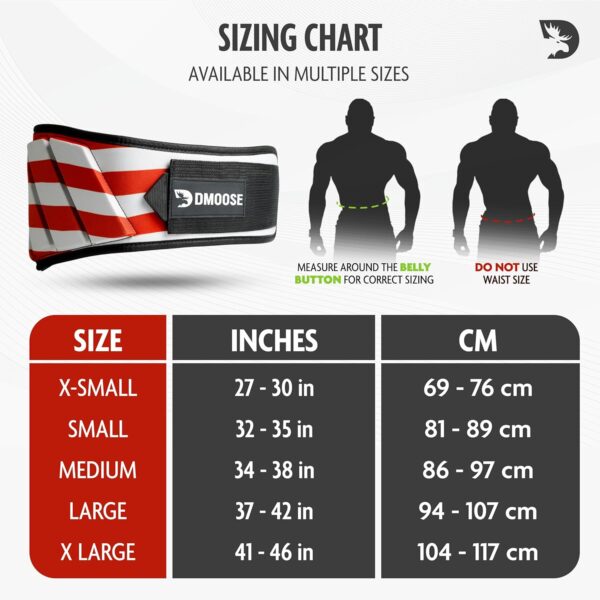 DMoose Fitness Neoprene Weight Lifting Belt - Adjustable 6" Gym Support for Stability & Lumbar Support - Sweat Resistant Weightlifting Belt for Men & Women for Squats, Deadlifts & Bench Presses