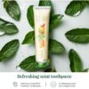 Revitin Toothpaste | Fluoride-Free Prebiotic Mint Tooth Gel | No SLS, Gluten Free, Dye Free, GMO Free, No Sweeteners | Non-Toxic, Kid Approved