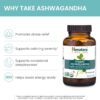 Himalaya Organic Ashwagandha, 60 Day Supply, Herbal Supplement for Stress Relief, Energy Support, Occasional Sleeplessness, Organic, Non-GMO, Vegan, Gluten Free, 670 mg, 60 Caplets