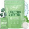 Cleverfy Shower Steamers for Aromatherapy - Menthol & Eucalyptus Set of 18 Shower Bombs